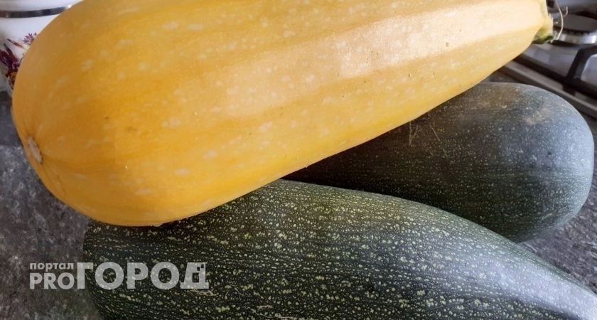 Секреты сладких кабачков: полив, защита от солнца и другие хитрости от опытных дачников