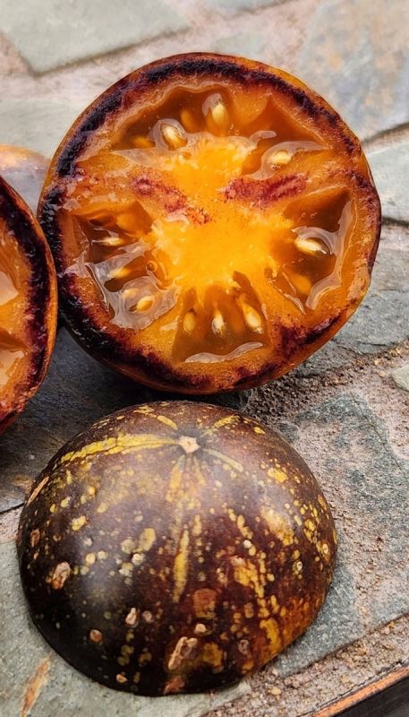 Томаты в новом свете: экзотические окраски захватывают мир селекции