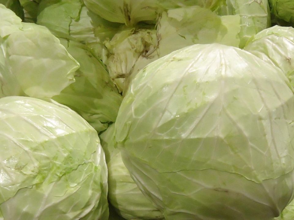 Капуста: от Невозможного до Наилучшего