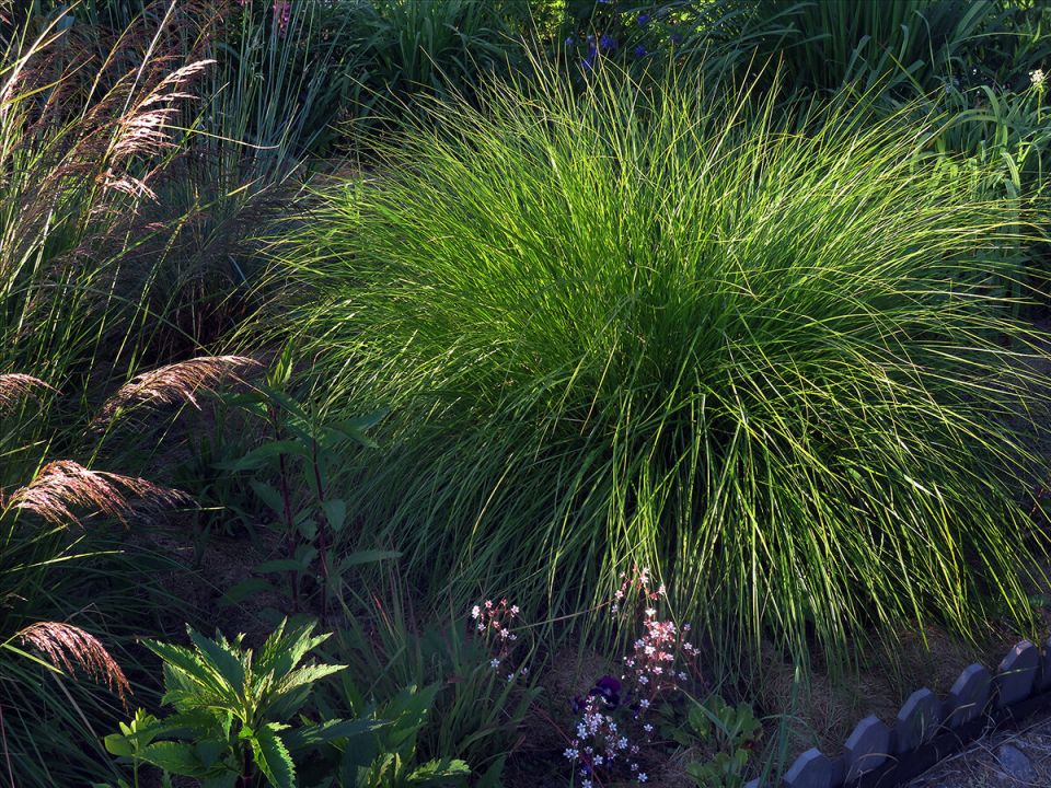 ��� ����� ����� ������ ��������: ������������ �������� � ������������� ����