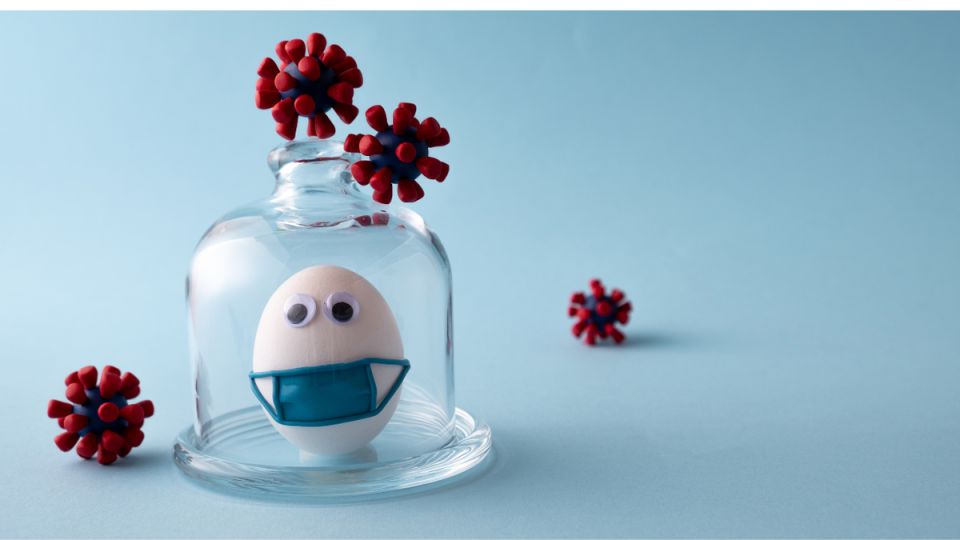 Как защититься от клеветы: правовые механизмы для защиты чести и достоинства