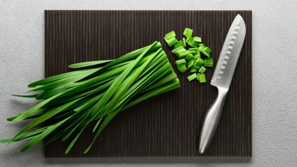 Как с минимальными затратами круглый год наслаждаться свежим зеленым луком