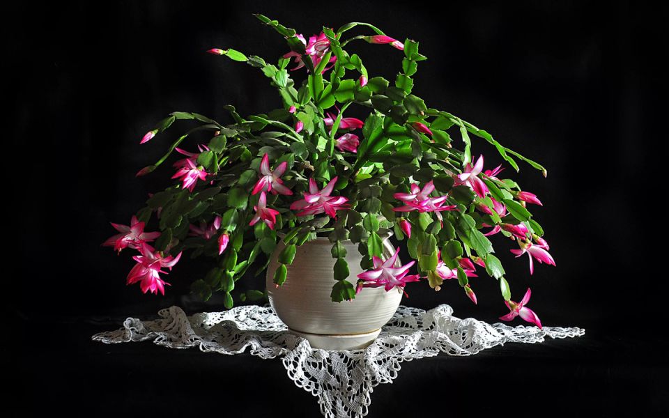 �����������: �������������� ������ ��� ������ ����