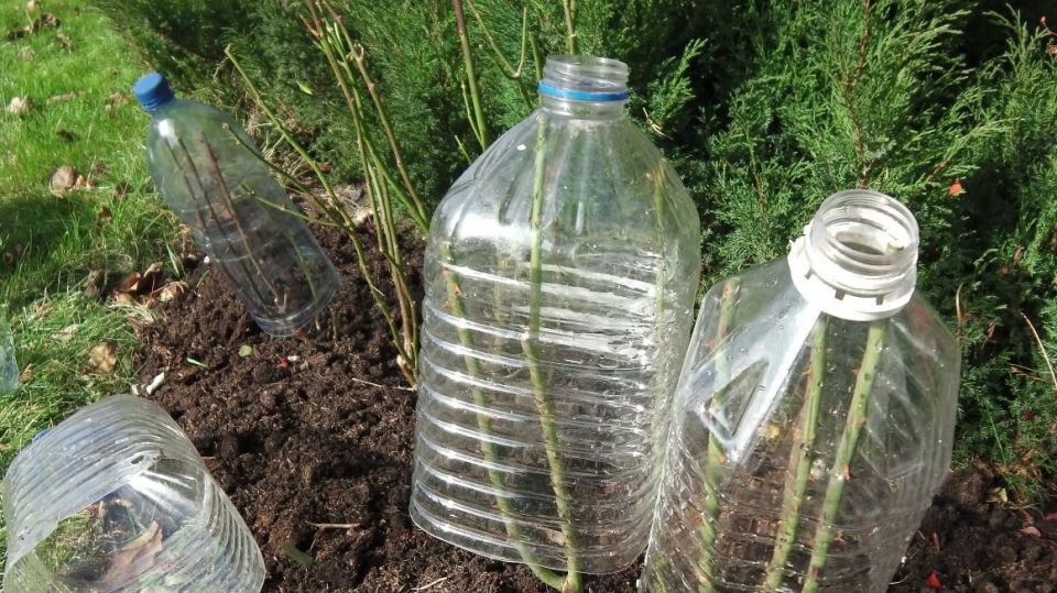 ����������� ������� ��� ��������� ������� ������� ���