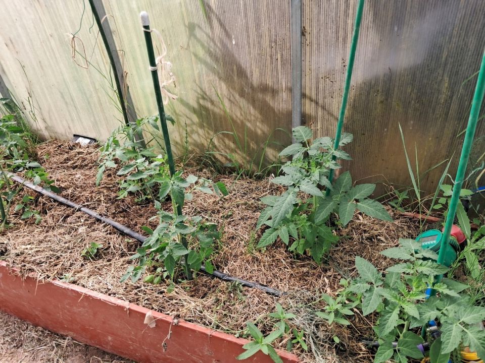 ������� ��������� ������ ������� � ����: ��� ��������� ���������� ��������?