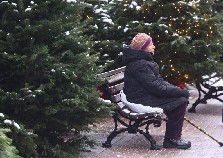 ���������� �������� 2026 ����: ��� ����� ����� ���� ���������