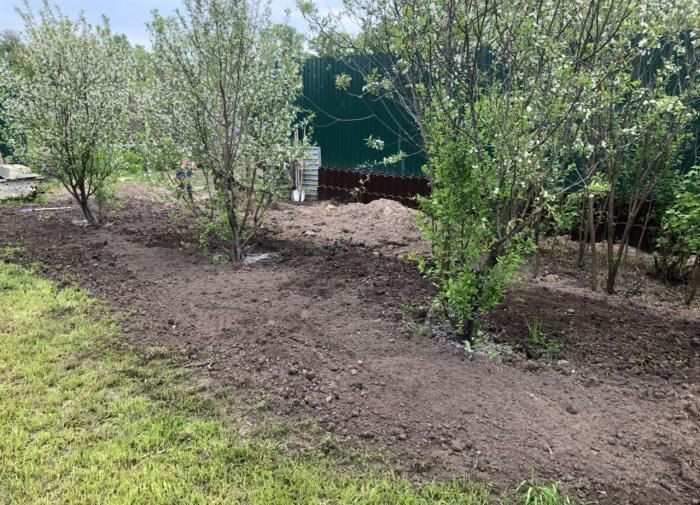 ��� ���� ����� ����������� ���� ����� � �������� ������