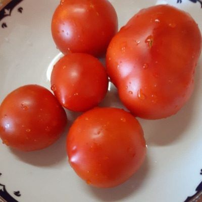 ����� �������: ������������� � ������ �� ������ ��� ������ ����