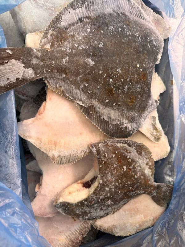 ������������ �������: ��� ����� ���������������� �����