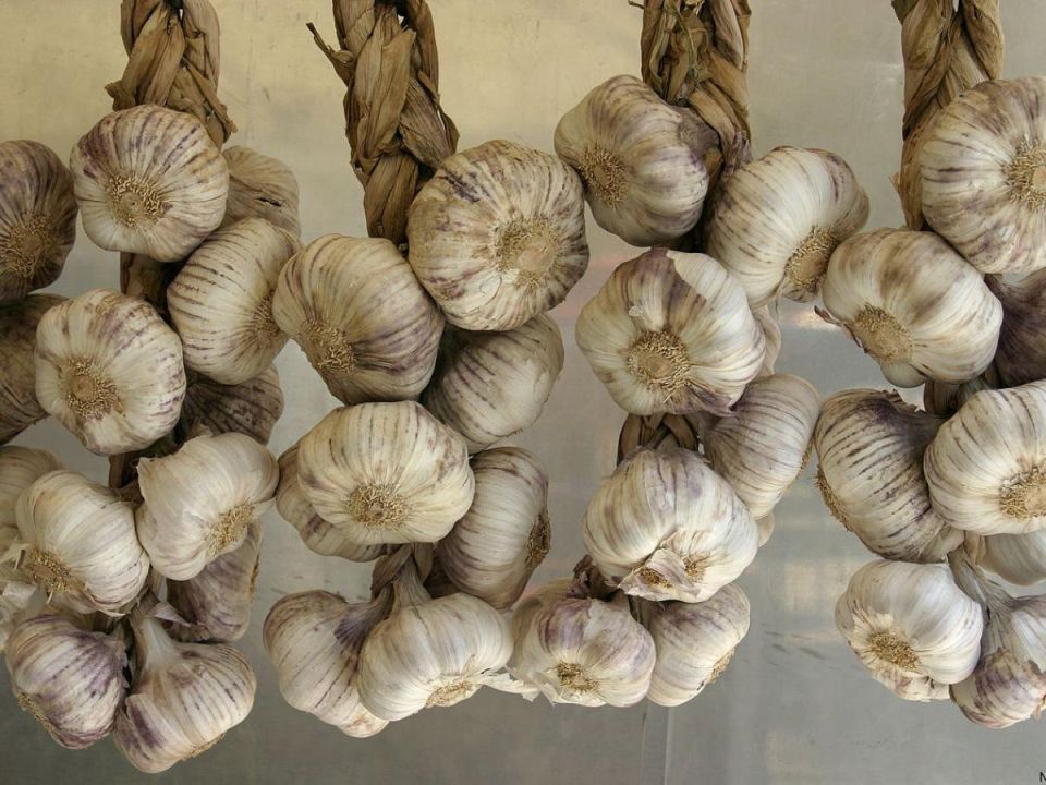 ������ � ������ � �����������: ��� ������� ���������� ������� ��� ������