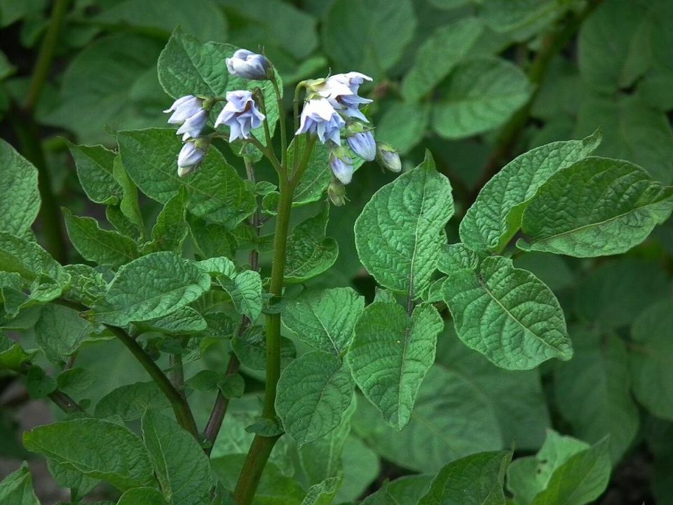 ��� ���� � ����� ����� �������� ������� ��� �������� �� �����