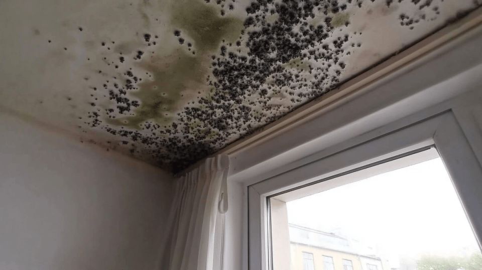 ������� � ��������: ��� ���������� � ���� ����������