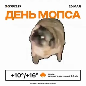  !     +16  