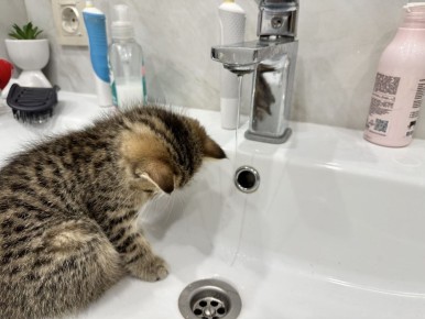  26  31      