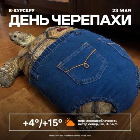   , !     +15   