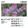 Доброе утро, Пермь!. Сегодня погода вновь порадует будет тепло и солнечно