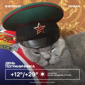   !  : +27  