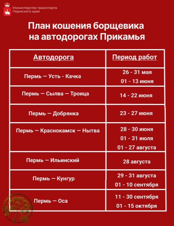 Вчера мы рассказали вам о том, что Дорожно-эксплуатационная служба (ДЭС) активно занимается кошением борщевика на некоторых автодорогах Прикамья