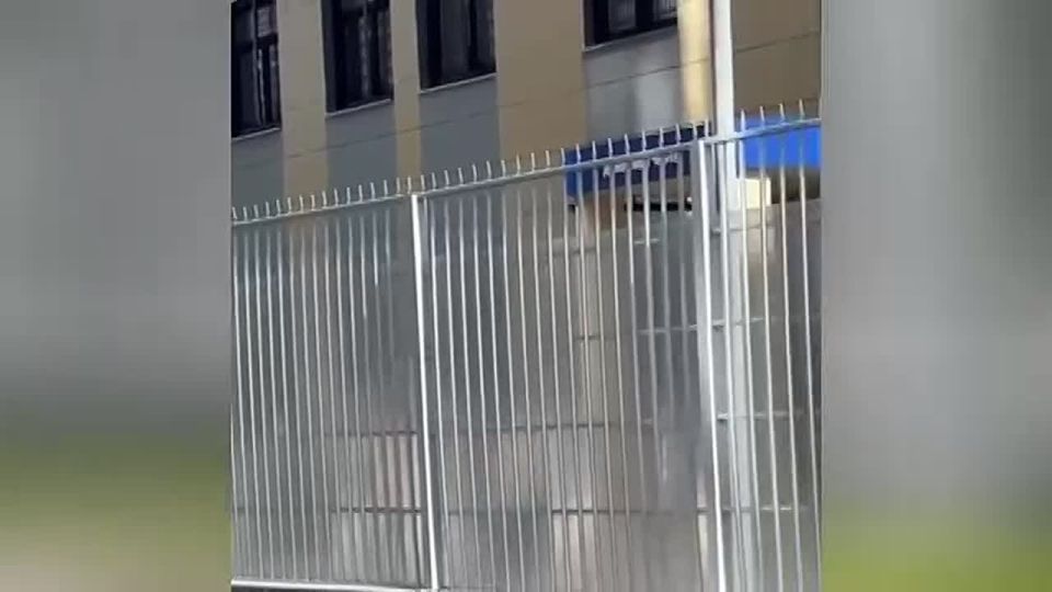 Ирина Волк: В отношении злоумышленника, который так усердно пытался скрыться от правосудия, что сам прибежал в полицию, возбуждено уголовное дело