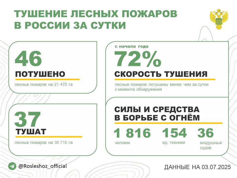 За прошедшие сутки в 13 регионах России потушили 46 лесных пожаров