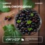  , !.   :   , 23   ,  