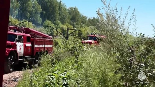 За прошедшую неделю с 14 по 20 июля огнеборцами Пермского края спасены 9 человек, в т.ч. 4 детей, ликвидировано 74 пожара