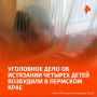 Уголовное дело об истязании четырех малолетних детей возбуждено в отношении жителя города Лысьвы Пермского края