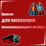 Комфортная поездка: 9 легких правил для пассажира