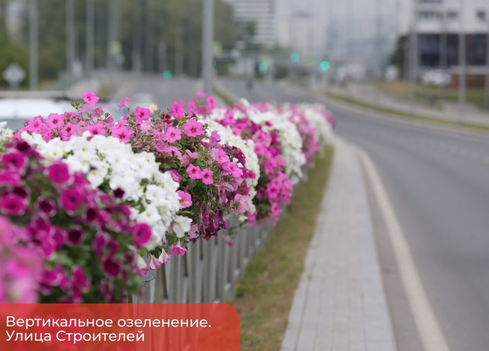 Эдуард Соснин: Активно применяем в городе вертикальное озеленение