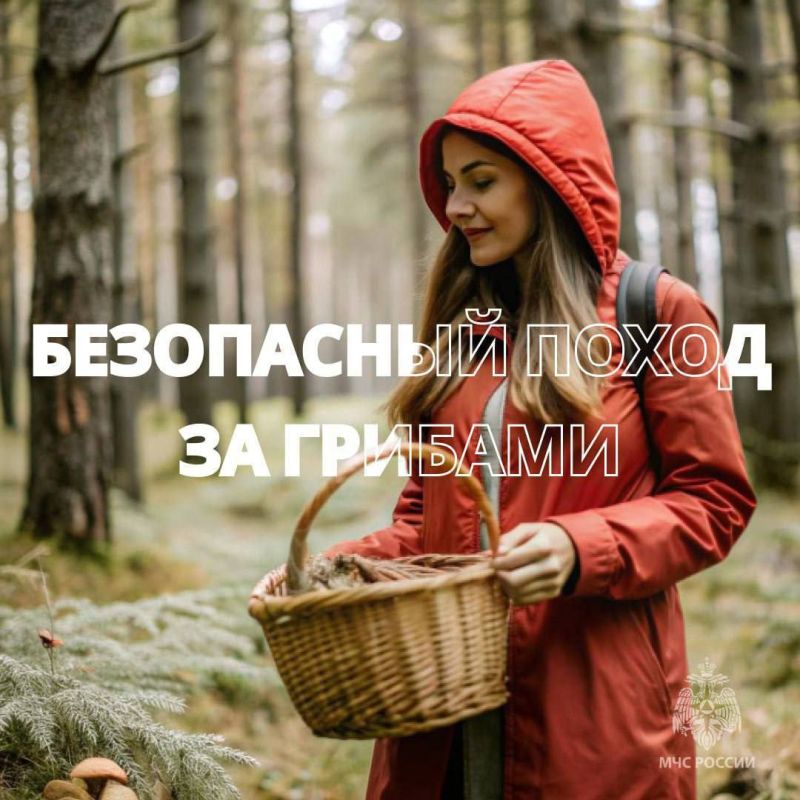Любителям «тихой охоты» о правилах безопасности