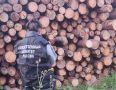 Двоих мальчиков насмерть придавило бревнами