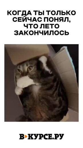 ,     .