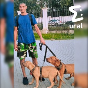   ,     ,    
