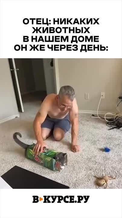 ,    .