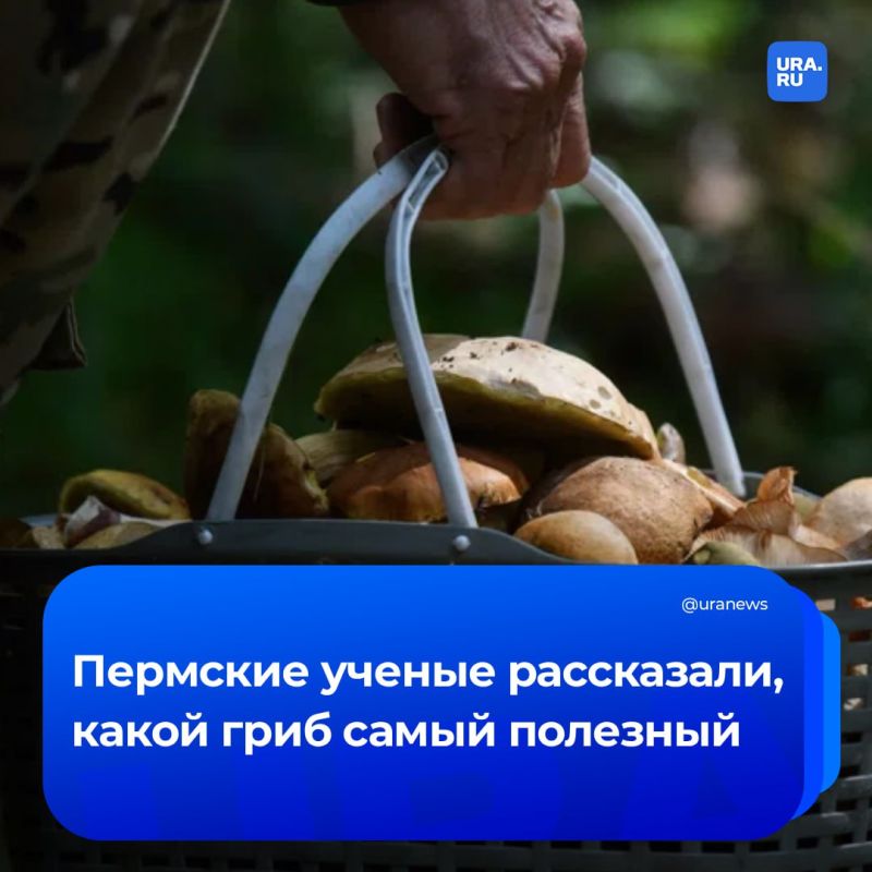   :            URA.RU,     