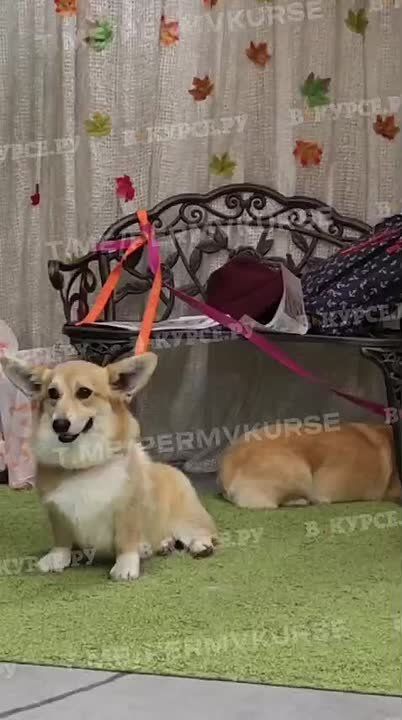 --   !         