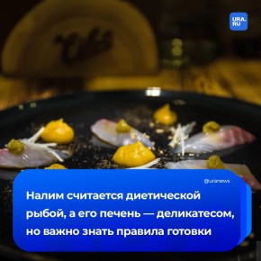    .   ,    ,     ,      URA.RU           ...