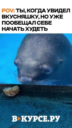 Вечернее веселое на «В курсе.ру»
