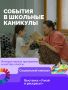 Эдуард Соснин: Наступило время осенних каникул у школьников
