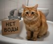 В Перми временно отключат воду более чем в 100 домах