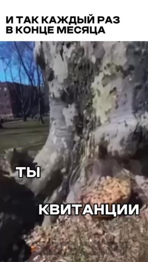 Вечернее веселое на «В курсе.ру»