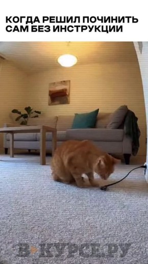 Вечернее веселое на «В курсе.ру»