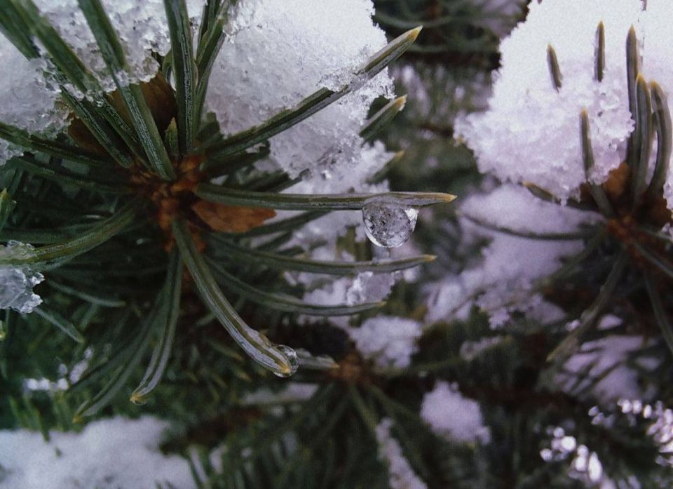 3-4 ноября ожидается до -15 градусов в Прикамье