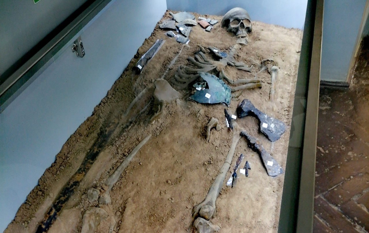 Оковы, звероящеры и африканское сафари Оковы, звероящеры и африканское сафари