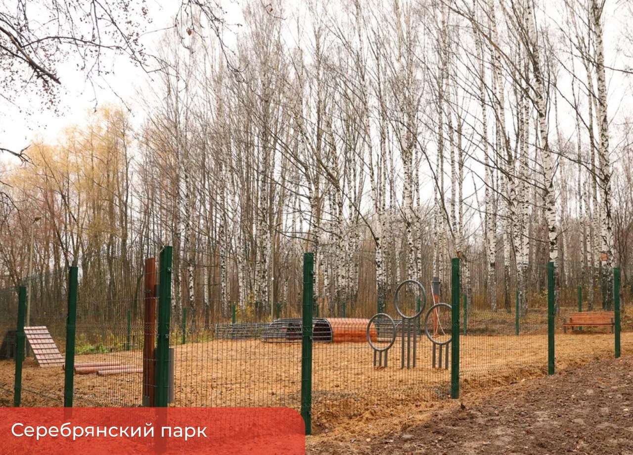 Эдуард Соснин: Продолжаем развивать комфортные места отдыха в зелёных локациях города Эдуард Соснин: Продолжаем развивать комфортные места отдыха в зелёных локациях города