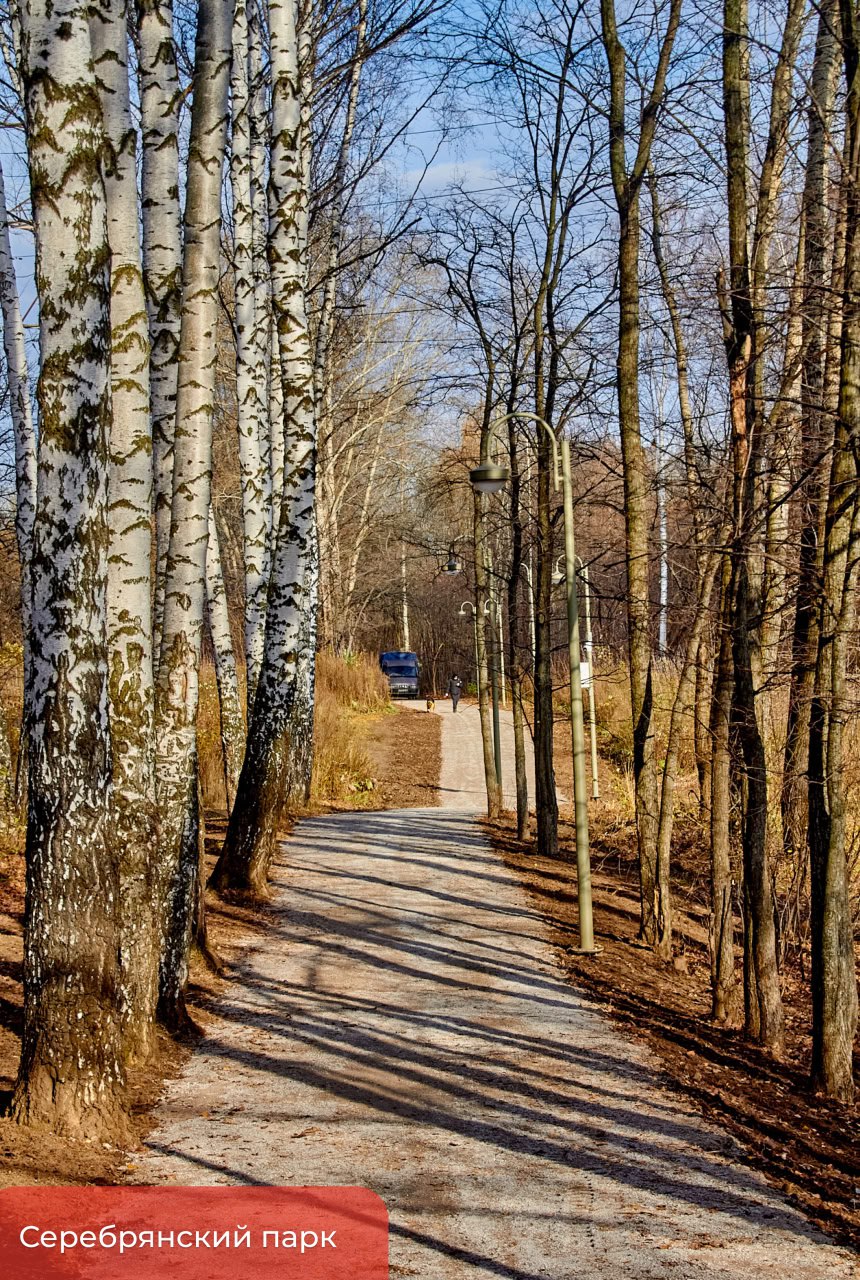 Эдуард Соснин: Продолжаем развивать комфортные места отдыха в зелёных локациях города Эдуард Соснин: Продолжаем развивать комфортные места отдыха в зелёных локациях города