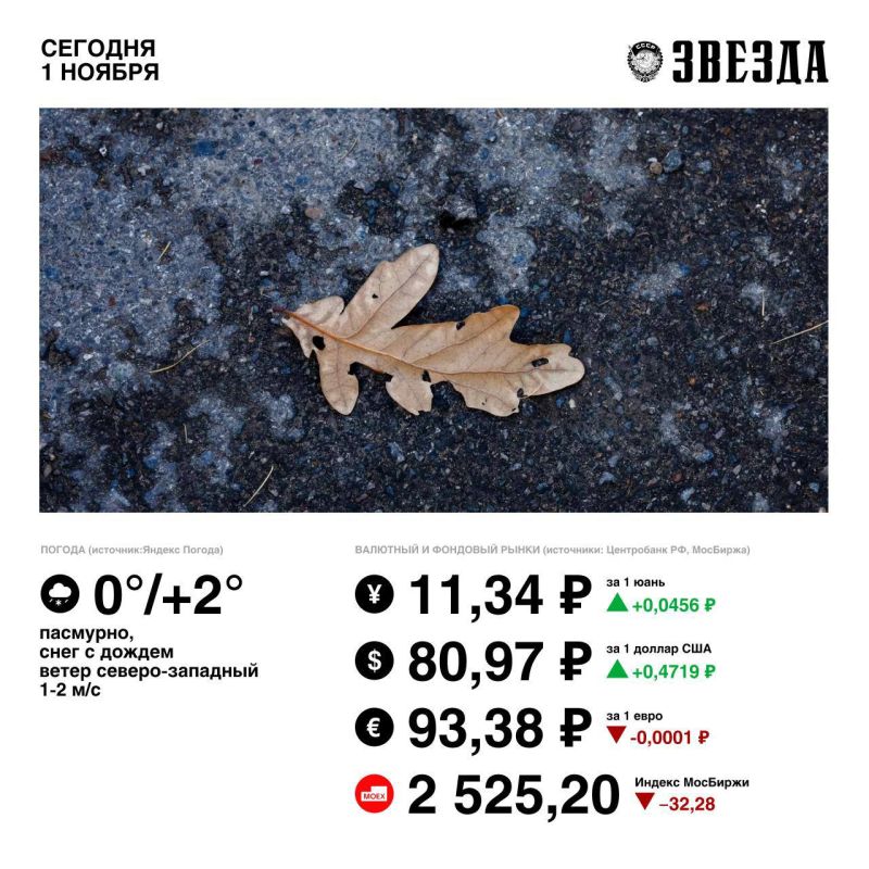 Доброе утро, Пермь!. Первый день ноября будет пасмурным, ожидается дождь со снегом