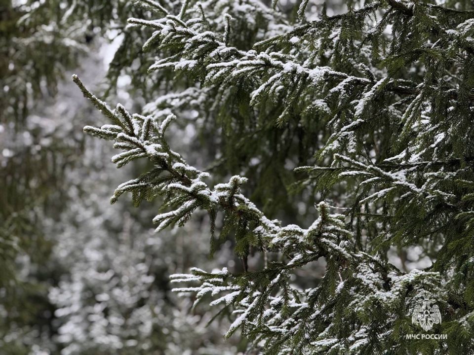 По данным Пермского ЦГМС 3 ноября на дорогах прогнозируется гололедица