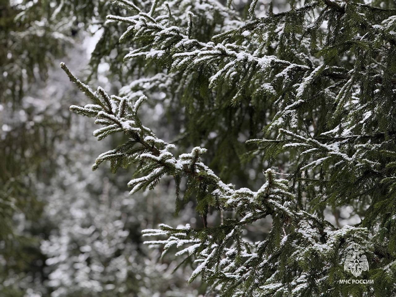 По данным Пермского ЦГМС 3 ноября на дорогах прогнозируется гололедица