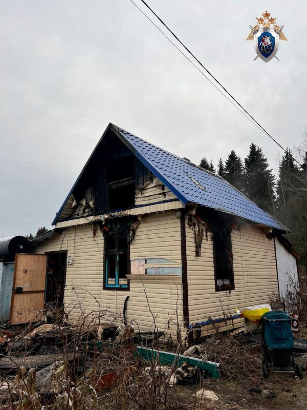 В Березниках следователем СК России местному жителю предъявлено обвинение в убийстве двух лиц